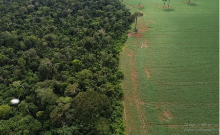 Brasil perdeu 111,7 milhÃµes de hectares de Ã¡reas naturais em 40 anos