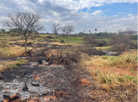 Sitiante Ã© multado em mais de R$ 8 mil por atear fogo em Ã¡rea de vegetaÃ§Ã£o para mudanÃ§a de cultura, em Ãlvares Machado