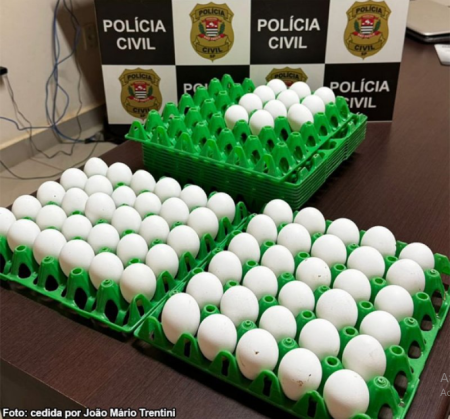 PolÃ­cia Civil recupera ovos furtados de granja em RinÃ³polis; aÃ§Ã£o contou com apoio da DISE de TupÃ£