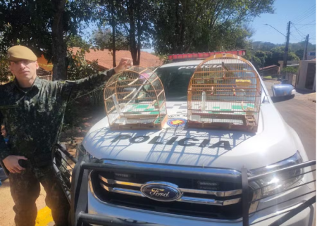 Idoso Ã© multado em R$ 1 mil apÃ³s manter aves silvestres em cativeiro, em Adamantina