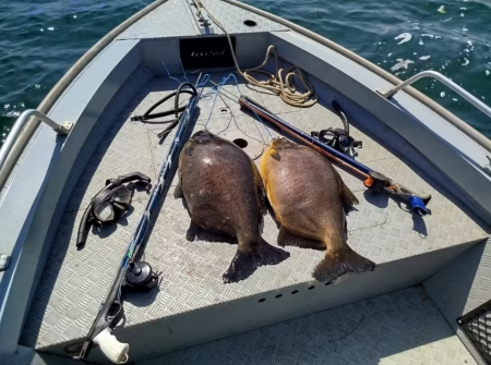 Homens flagrados em pesca de mergulho recebem multas de R$ 2,8 mil e ainda responderÃ£o por crime ambiental no Rio ParanÃ¡