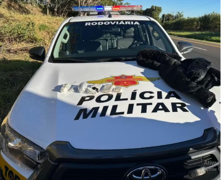 Passageira Ã© presa ao transportar dry, a chamada 'droga dos playboys', em Ã´nibus interestadual