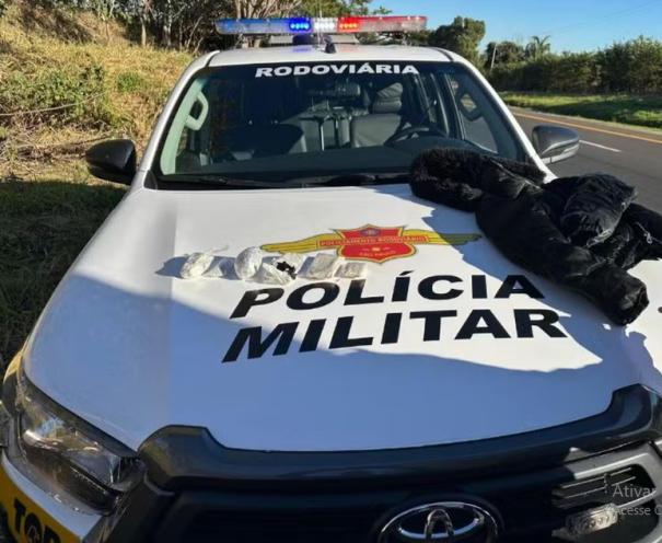 Passageira é presa ao transportar dry, a chamada 'droga dos playboys', em ônibus interestadual