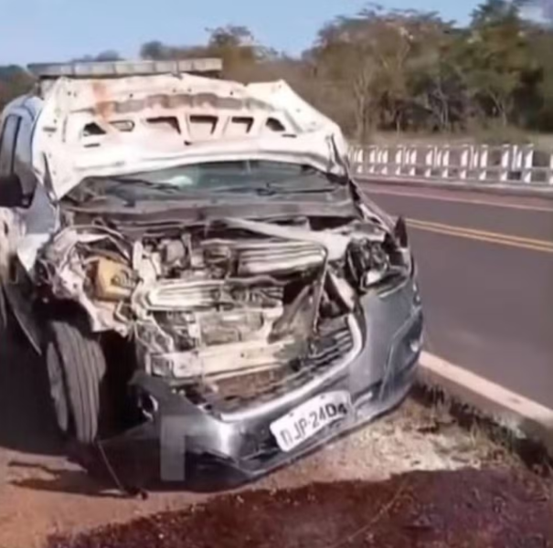 Viatura da Polícia Civil atropela anta em trecho da Rodovia Arlindo Béttio próximo ao Morro do Diabo, em Teodoro Sampaio