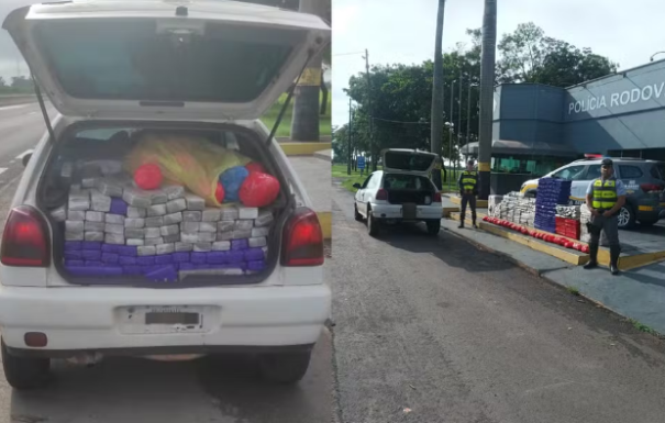 Polícia Rodoviária apreende 580 kg de drogas na Raposo Tavares, em Presidente Epitácio