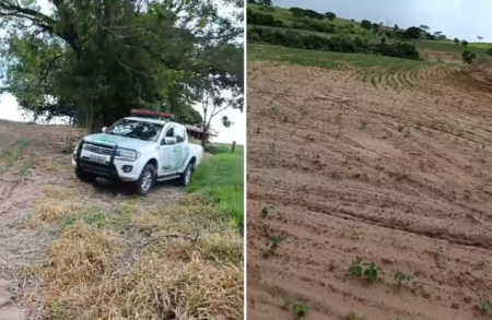 Homem Ã© multado em quase R$ 4 mil por degradar Ãrea de PreservaÃ§Ã£o Permanente em Anhumas