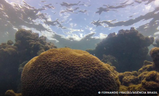El Niño altera dinâmica do Atlântico