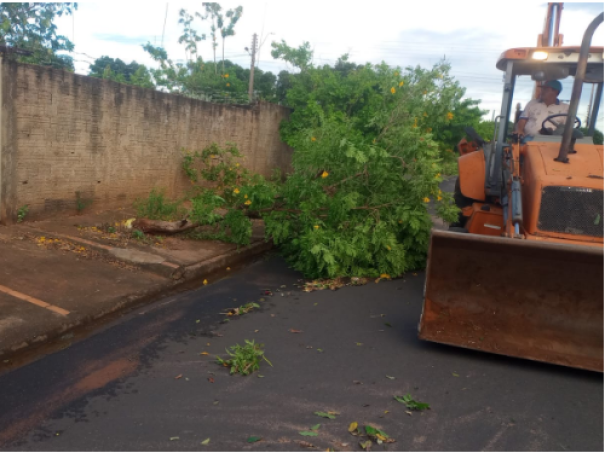 Vendaval causa destelhamento, queda de árvores em Martinópolis