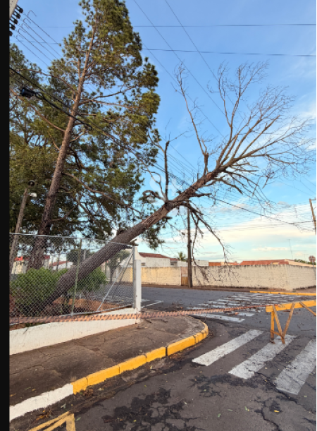 Ventos fortes derruba Ã¡rvores e causa transtornos em Adamantina no Natal