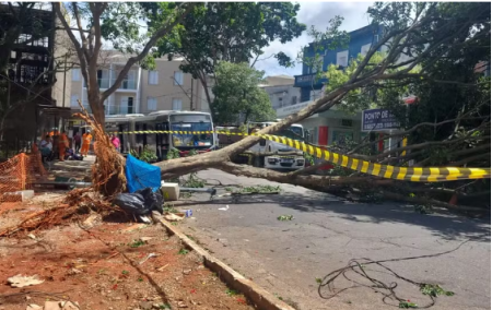 SÃ£o Paulo amanhece com mais de 1,5 milhÃ£o de imÃ³veis sem energia apÃ³s ventos de quase 100 km/h