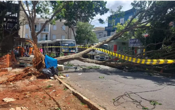 São Paulo amanhece com mais de 1,5 milhão de imóveis sem energia após ventos de quase 100 km/h