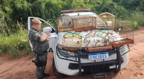 Homem é multado em mais de R$ 3 mil por manter aves silvestres em cativeiro, em Taciba