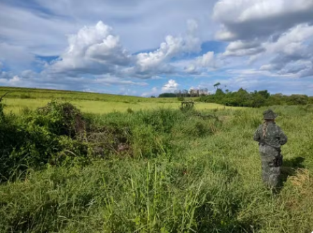 Fazendeiro Ã© multado em mais de R$ 20 mil por desmatar Ãrea de PreservaÃ§Ã£o Permanente em Osvaldo Cruz