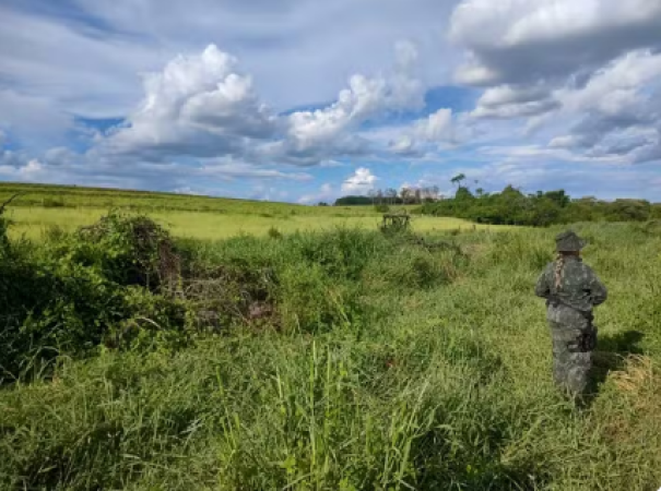 Fazendeiro é multado em mais de R$ 20 mil por desmatar Área de Preservação Permanente em Osvaldo Cruz