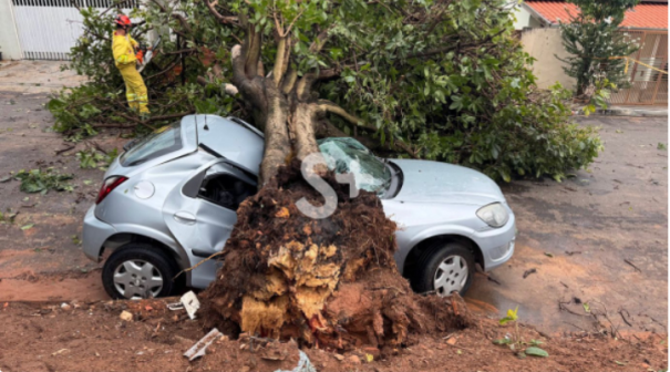 Rajadas de vento fazem estragos em Adamantina