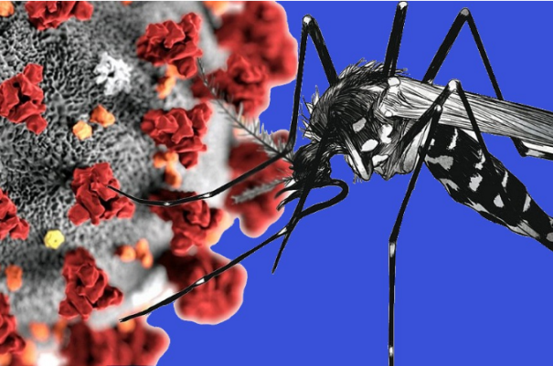 Vigilância em Saúde divulga números da Dengue e Chikungunya em Bastos; Casos de Covid também foram atualizados