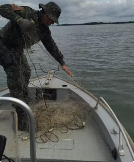 FiscalizaÃ§Ã£o apreende 500 metros de redes de pesca armadas irregularmente durante a piracema no Rio ParanÃ¡, em Pres. EpitÃ¡cio