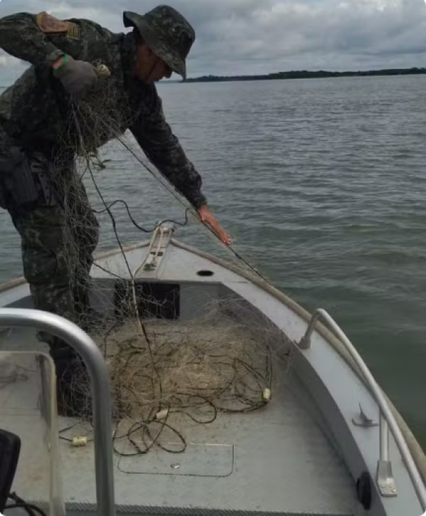 Fiscalização apreende 500 metros de redes de pesca armadas irregularmente durante a piracema no Rio Paraná, em Pres. Epitácio