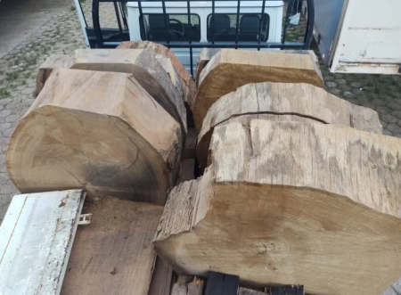 Empresa de fabricaÃ§Ã£o de mÃ³veis Ã© multada em mais de R$ 1 mil por manter madeiras sem licenÃ§a em Presidente Prudente