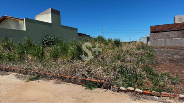 Adamantina intensifica trabalho de inspeção de terrenos na cidade