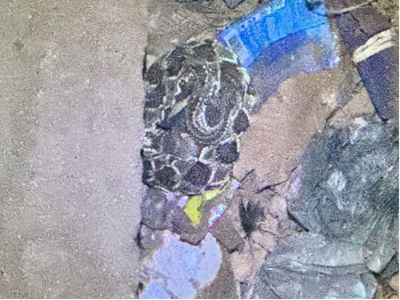 Bombeiros de Osvaldo Cruz capturam duas cobras em Ã¡reas urbanas e devolvem animais Ã  natureza
