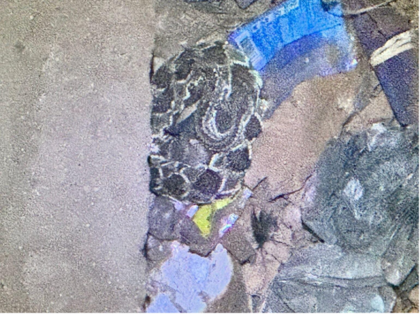 Bombeiros de Osvaldo Cruz capturam duas cobras em áreas urbanas e devolvem animais à natureza
