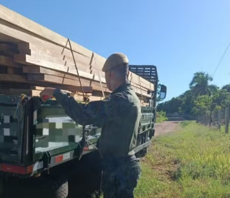 ApÃ³s transportar e vender madeiras sem documentaÃ§Ã£o, empresa Ã© multada em R$ 3,7 mil em Alfredo Marcondes