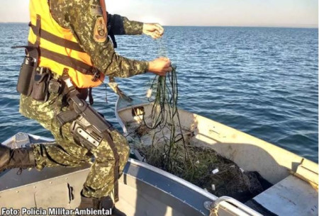 Piracema: pesca estÃ¡ proibida atÃ© 28 de fevereiro de 2025