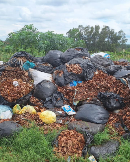 VocÃª RepÃ³rter: PossÃ­vel descarte irregular de folhas e galhos no bairro Ponte Seca, em Osvaldo Cruz, gera reclamaÃ§Ãµes de moradores do local