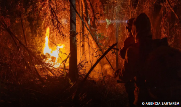 Brasil registra em 2024 aumento de 79% de áreas queimadas
