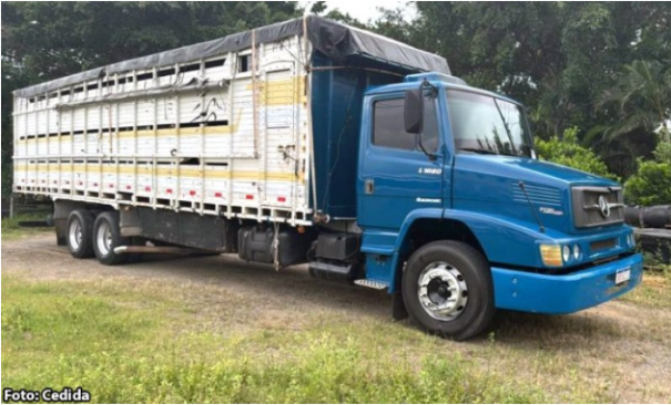 Ladrões furtam caminhão boiadeiro em propriedade rural de Mariápolis