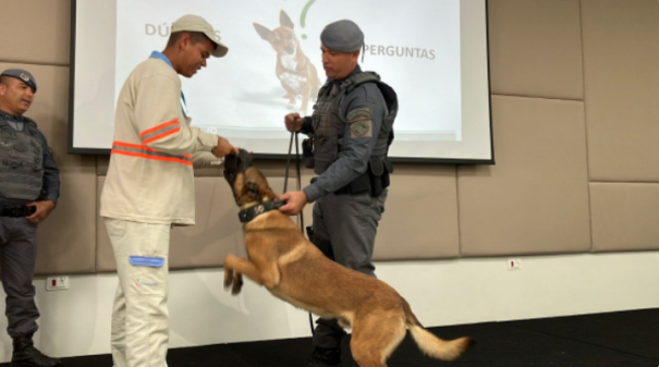 Prevenção a ataques de cão: leituristas da Energisa passam por treinamento com o Canil do 8º Baep