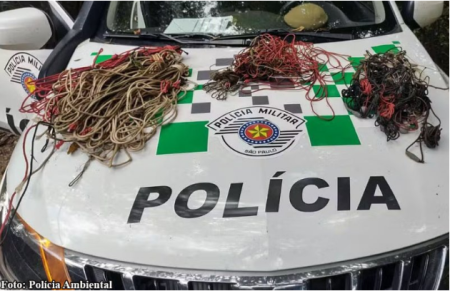 PolÃ­cia Ambiental recolhe mais de 20 anzÃ³is e trÃªs espinhÃ©is durante operaÃ§Ã£o no Rio AguapeÃ­, em FlÃ³rida Paulista