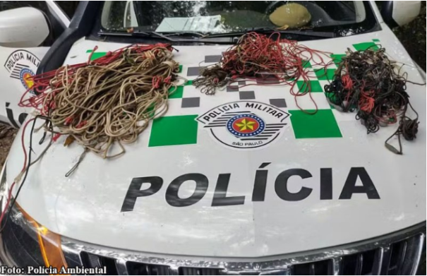 Polícia Ambiental recolhe mais de 20 anzóis e três espinhéis durante operação no Rio Aguapeí, em Flórida Paulista