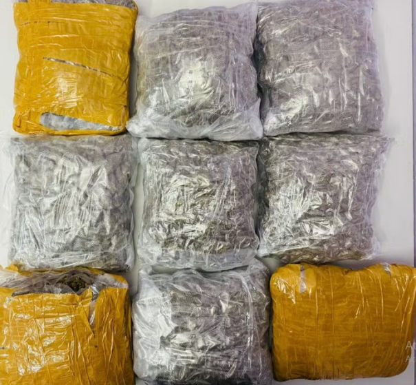 Ao esconder tabletes de skunk dentro de bagagens, jovem é preso por tráfico de drogas em Presidente Epitácio