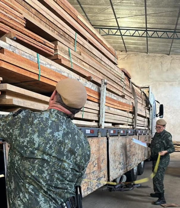 Madeireira é multada em mais de R$ 27 mil por inserir informação enganosa em sistema de controle, em Pirapozinho