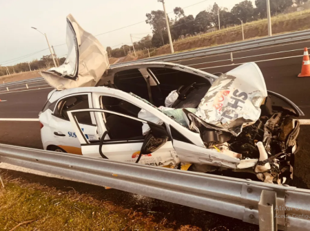 Animal invade pista e causa grave acidente na SP-294