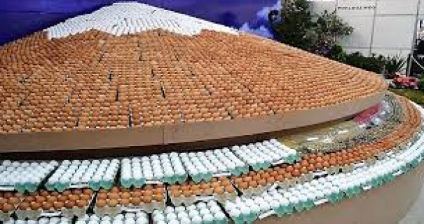 Gripe aviária faz organização adiar Festa do Ovo 2025