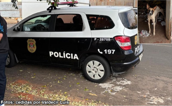 Tutor é preso após abandonar cachorro em casa desabitada no centro de Tupã