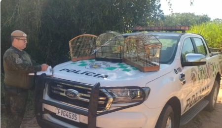 Homem Ã© multado em R$ 2,5 mil por manter aves silvestres em cativeiro no Jardim MarajÃ¡, em Pacaembu