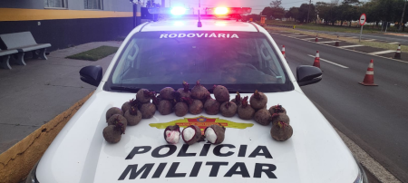 Policiamento rodoviÃ¡rio prende traficante em rodovia de Presidente Bernardes/SP