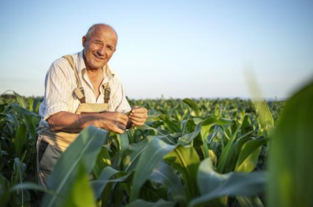 Osvaldo Cruz sediarÃ¡ o Empretec Rural