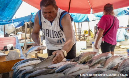 Produtores brasileiros comeÃ§am a sentir efeitos da taxaÃ§Ã£o dos EUA