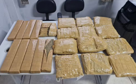 Passageira de Ã´nibus contratada para levar 22 pacotes de maconha de MS ao PR Ã© interceptada em Presidente Prudente