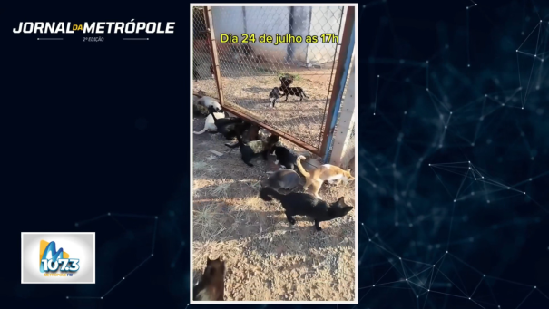 Gatil Municipal de Osvaldo Cruz: vereadora denuncia corte de acesso de Ong´s e prefeitura rebate acusações