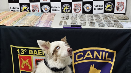 PolÃ­cia apreende mais de 1 kg de maconha durante operaÃ§Ã£o em MarÃ­lia com apoio de equipes de TupÃ£