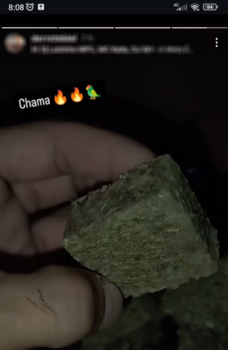 âChamaâ: apÃ³s postar story em rede social com pedaÃ§o de maconha, homem Ã© preso em flagrante por trÃ¡fico de drogas