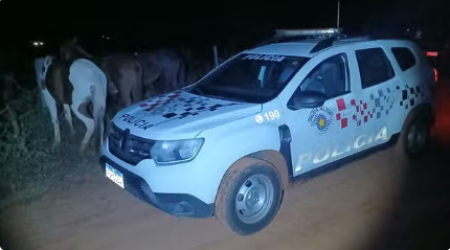 Ao tentar recuperar cavalos recolhidos pelo Centro de Zoonoses, homens sÃ£o presos por dano ao patrimÃ´nio pÃºblico em Presidente EpitÃ¡cio