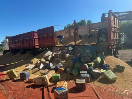 Homens sÃ£o presos com mais de 7 toneladas de maconha escondidas em carga de soja, na Rodovia Arlindo BÃ©ttio, em Rosana