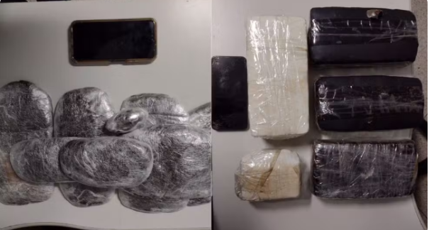 Mulheres são presas ao transportarem mais de 5kg de skunk em ônibus interestadual, em Presidente Prudente